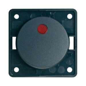 INTERRUTTORE BERKER 12V+LED GRIGIO